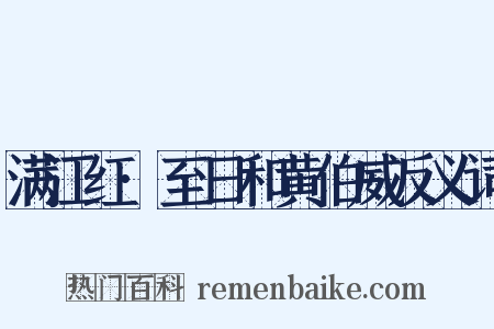 满江红·至日和黄伯威反义词是什么意思的图片